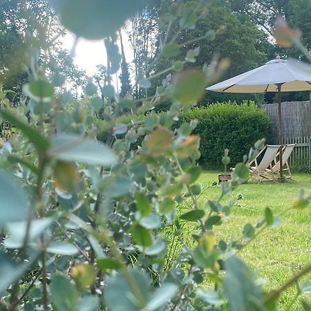Zum Schockelgaul Gaestehaus Forst an der Weinstrasse Εξωτερικό φωτογραφία