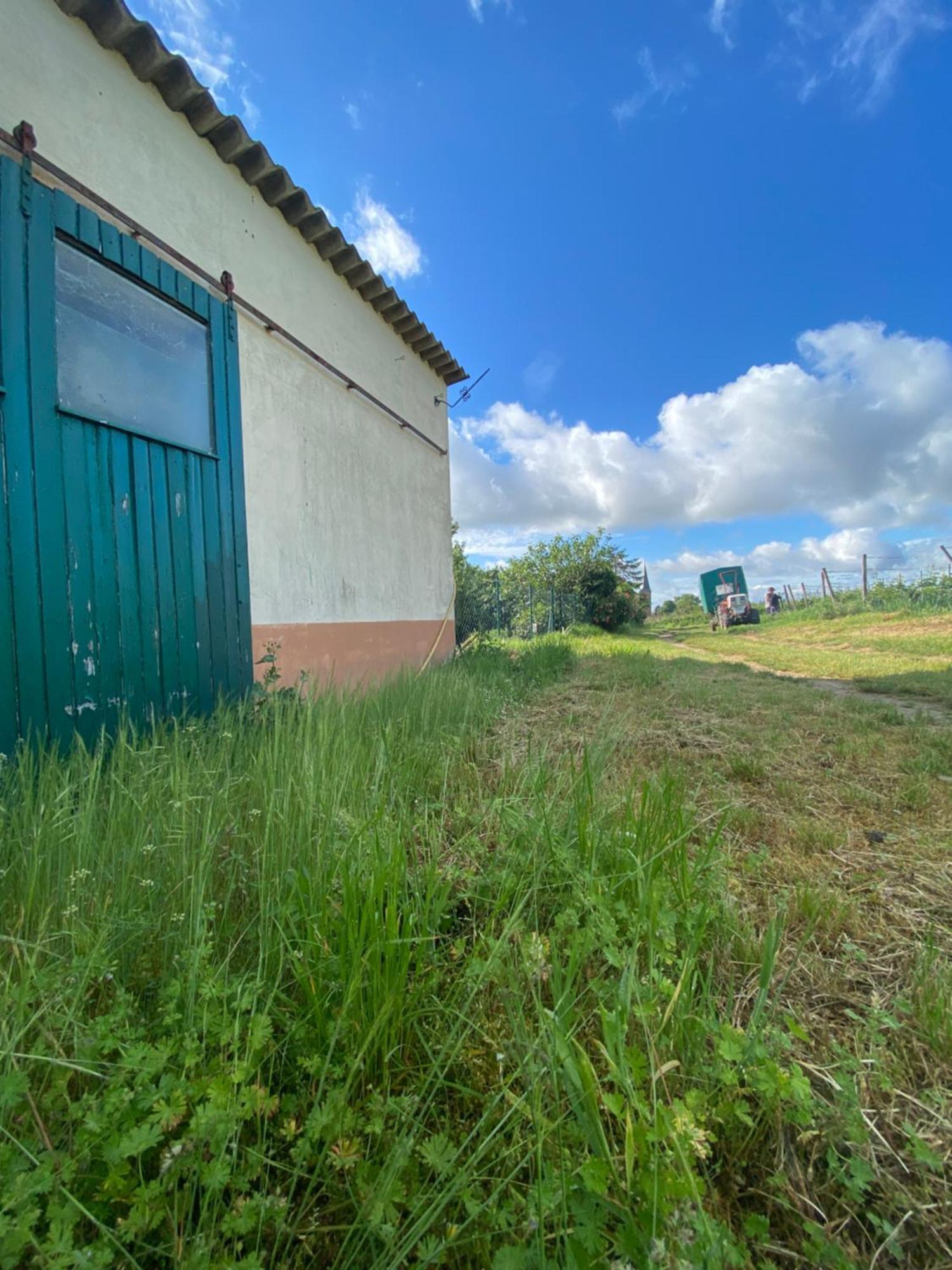 Zum Schockelgaul Gaestehaus Forst an der Weinstrasse Εξωτερικό φωτογραφία