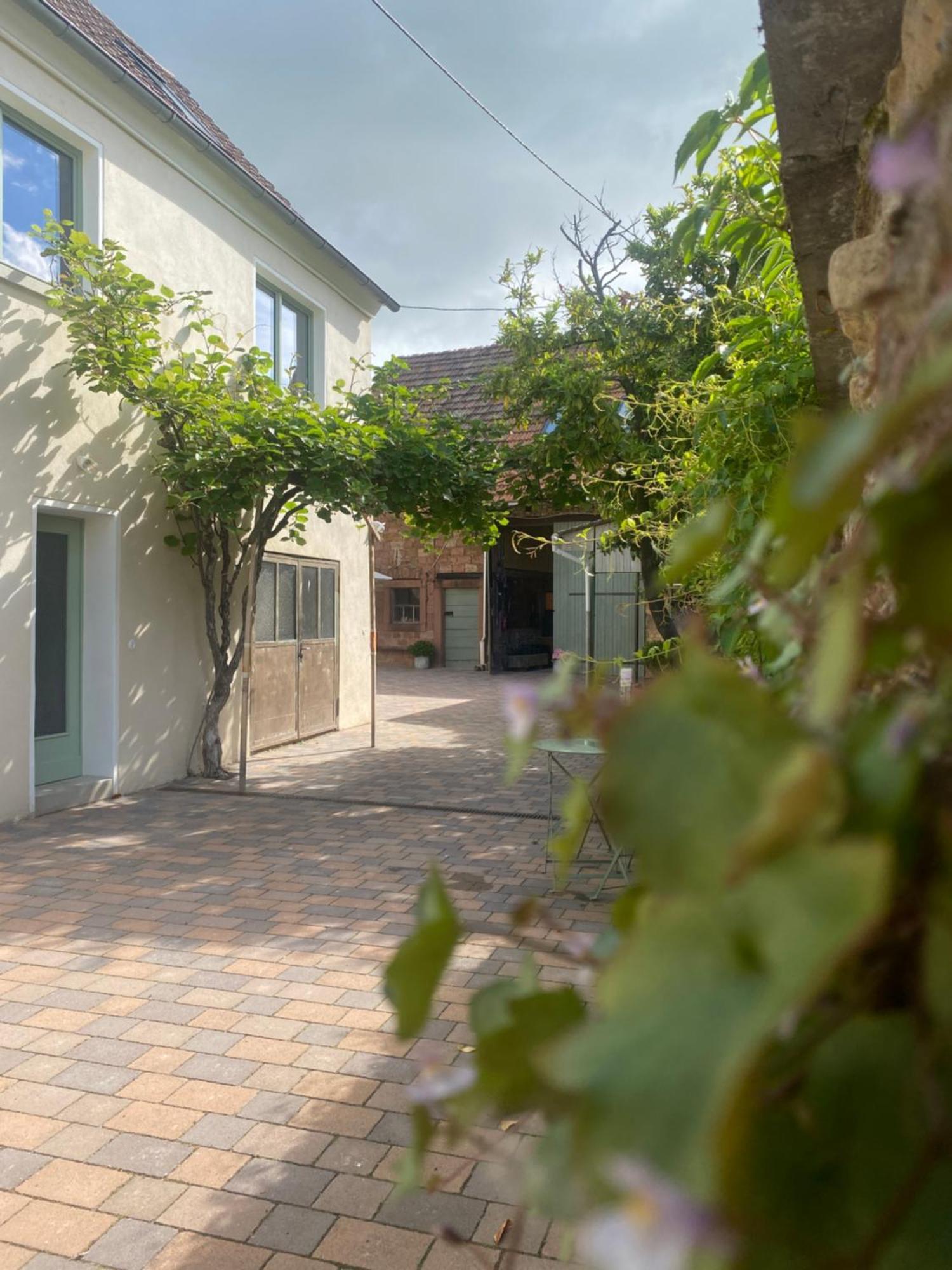 Zum Schockelgaul Gaestehaus Forst an der Weinstrasse Εξωτερικό φωτογραφία